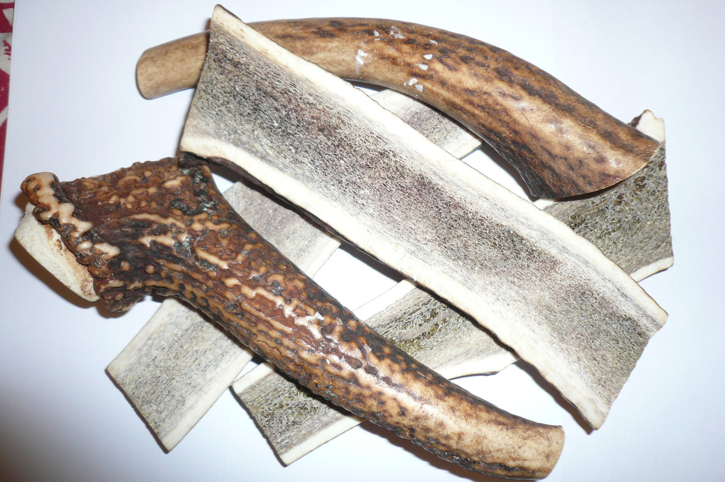 Dog Treats Deer Antler