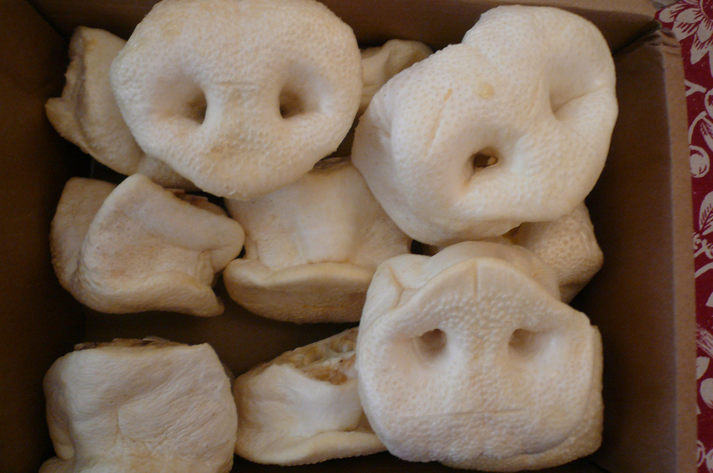 Dog Treats Puffed pigs snouts