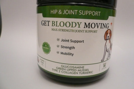 dog supplement GET BLOODY MOVING